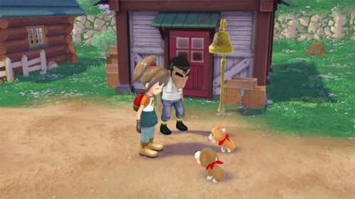 Story of Seasons: A Wonderful Life - Limited Edition[SWITCH]